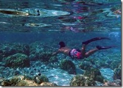 clip_image006 clip_image006