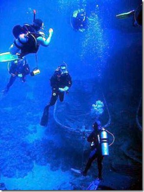 clip_image014 clip_image014