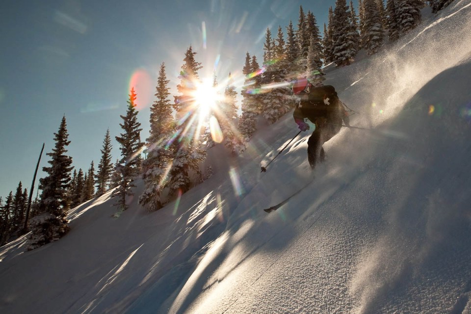 Skier in powder